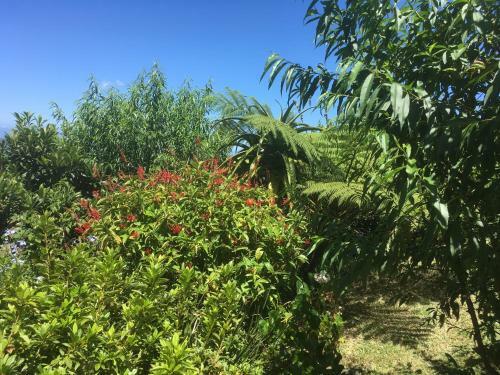 Bed & Breakfast Caloupil�