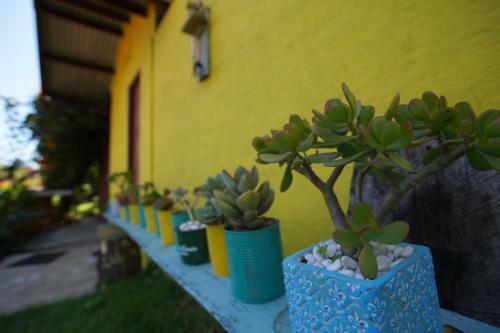Lodge Hostal Agaseke Boquete