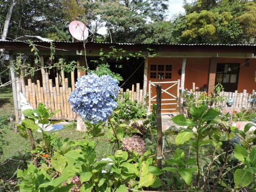 Albergue Hostal Familiar El �ngel Panam� B&B
