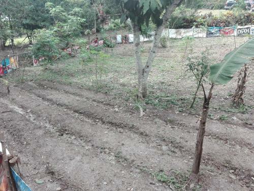 Albergue Hostal Familiar El �ngel Panam� B&B