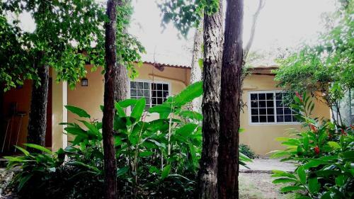 Serenity Home