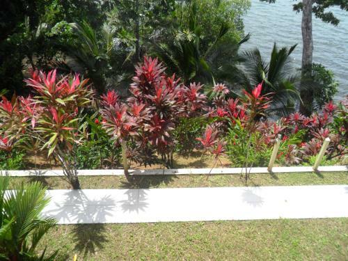 Hostal Villa Red Hill