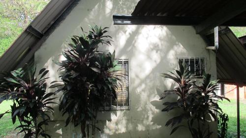 Waterfall Hostel