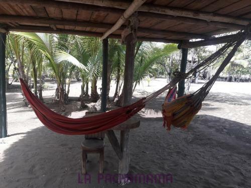 Albergue Hostal Pachamama