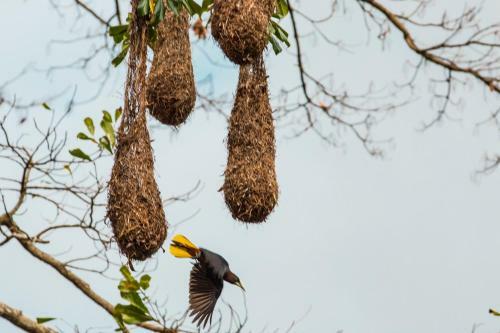 Villa Tavida Lodge