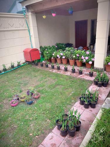 Hostal Rashk E Qamar
