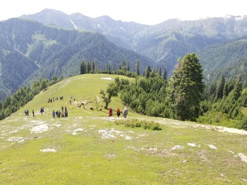 Hotel Chinar Resorts
