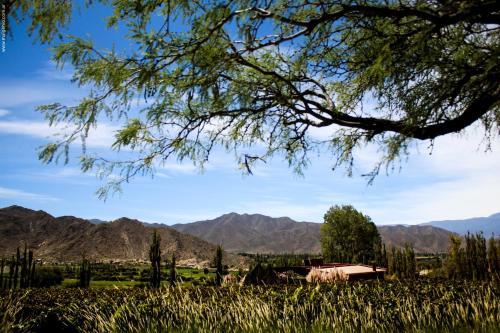 Hostal Miraluna Caba�as