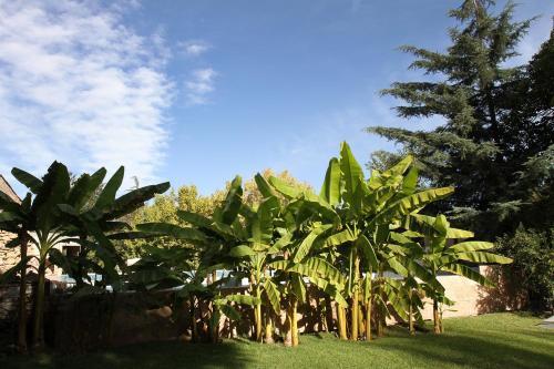 Hostal Finca La Octavia