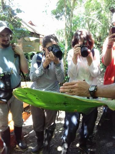 Los Guatuzos, Ecolodge