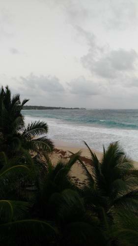 Corn Island Hostal Alal Suite