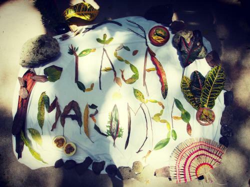 Bed & Breakfast Casa Marimba