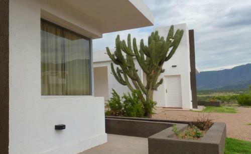 Hostal Qhawana Complejo