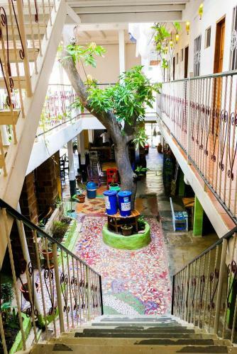 Casa Oro Eco Hostel