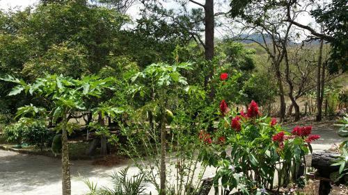 Lodge Casa La Comarca