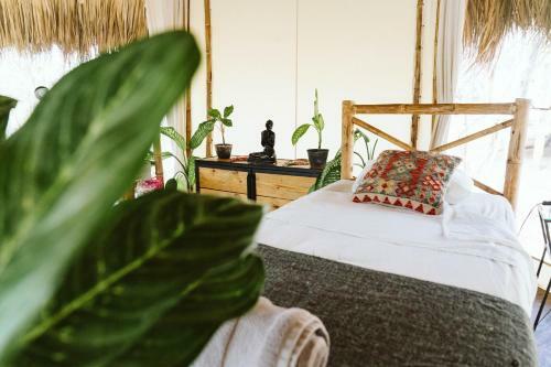 Hotel Dreamsea Surf Resort Nicaragua