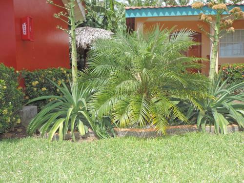 Hotel Caba�as El Para�so - Ometepe