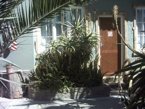 Hostal Tranquility Guest House