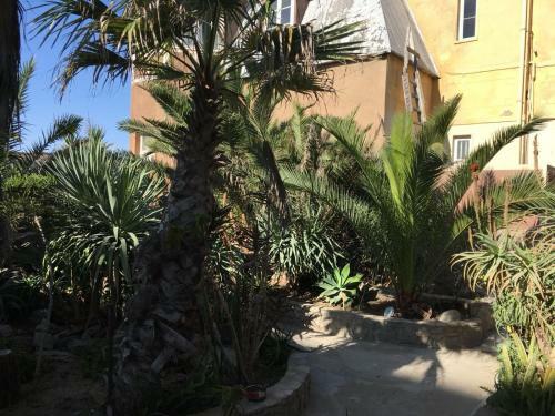 Hostal Tranquility Guest House