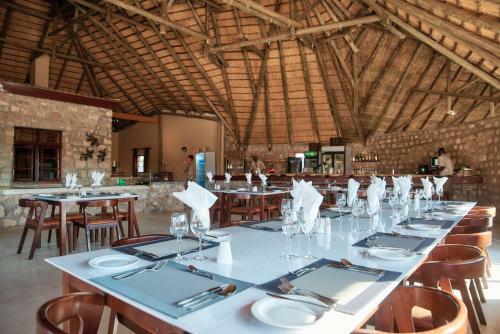 Agama River Camp Lodge