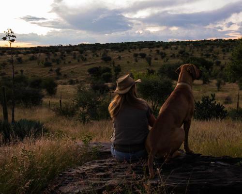 Eagle Rock Guest-farm And Business Lodge