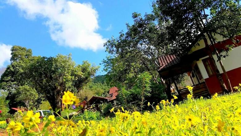 Posada Morning Glory Inn