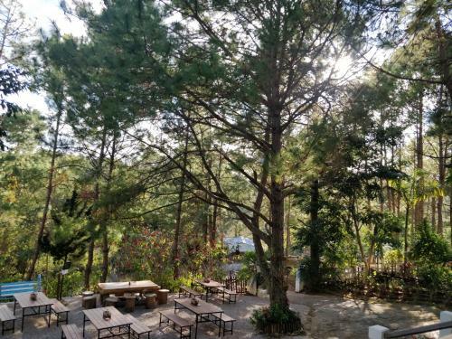 Bed & Breakfast Hillock Villa