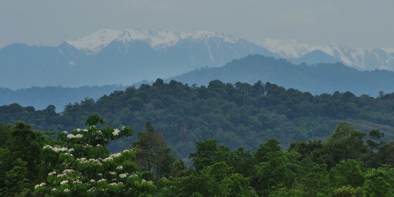 Hotel Malikha Lodge