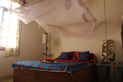 Casa Pahari Aka Harry Potter