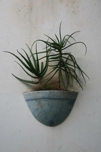 Jardim Dos Alo�s Boutique B&B