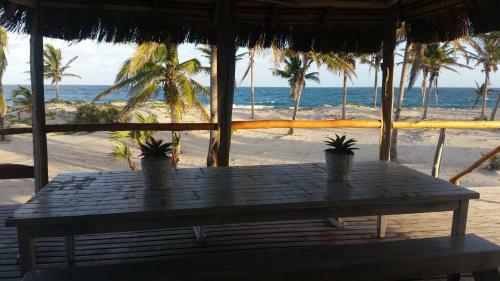 Pura Vida Lodge