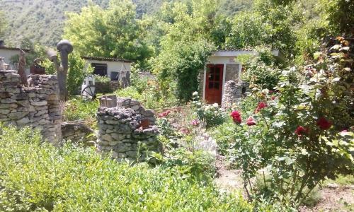 Hostal La Popas