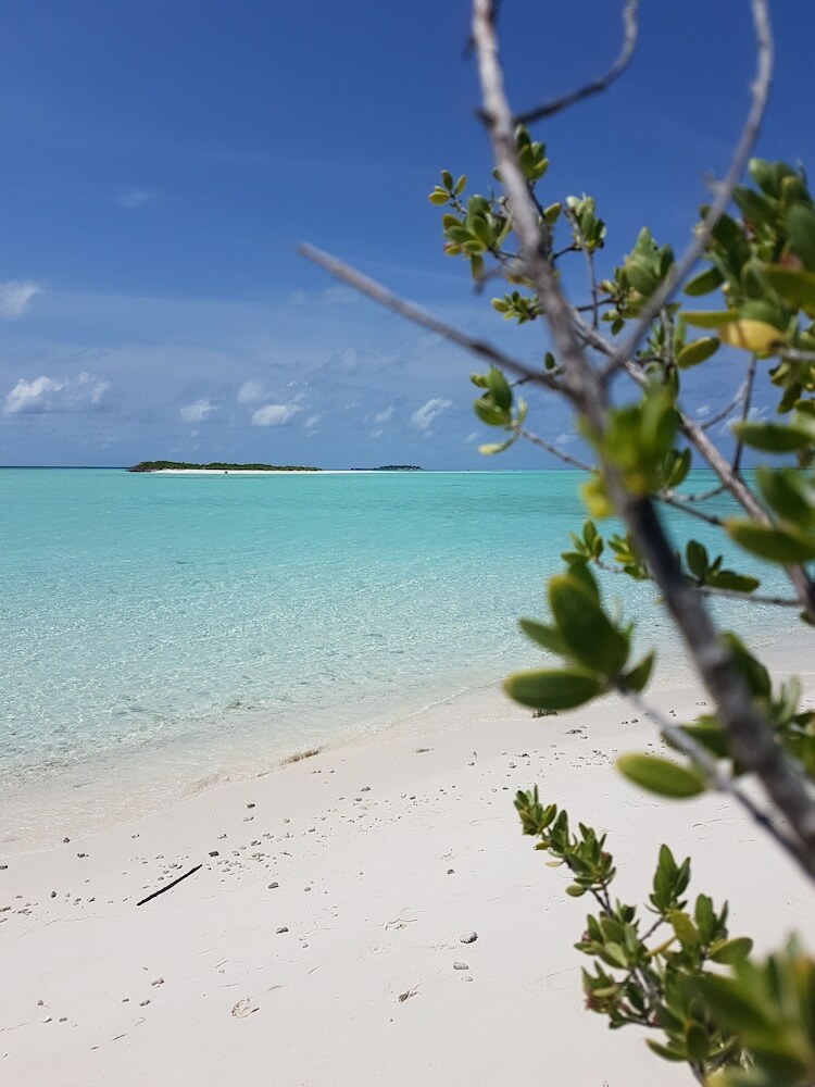 Hostal Rasdhoo View Inn