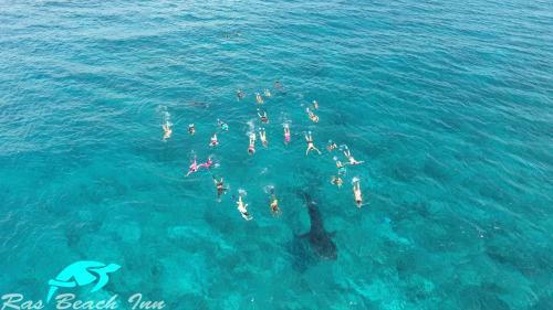 Hostal Ras Beach Inn