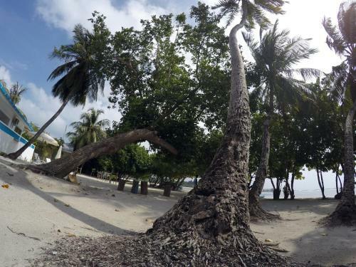 Hostal Rip Tide Vacation Inn, K.guraidhoo