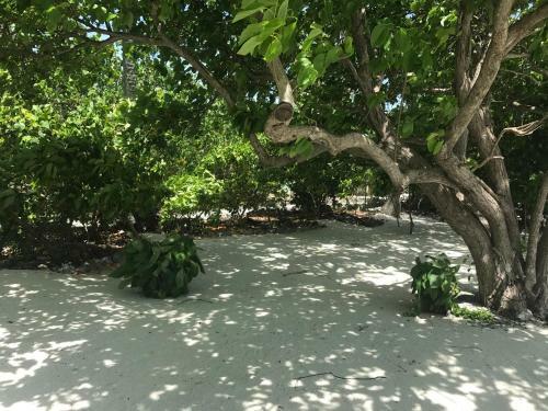 Hostal Rip Tide Vacation Inn, K.guraidhoo