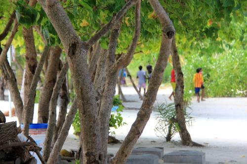 Hostal Rip Tide Vacation Inn, K.guraidhoo