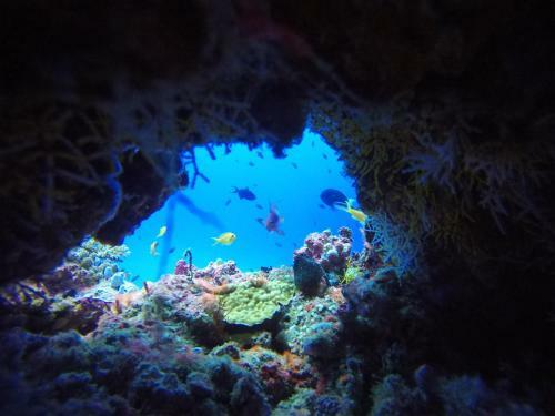 Hostal Equa Reef Maldives