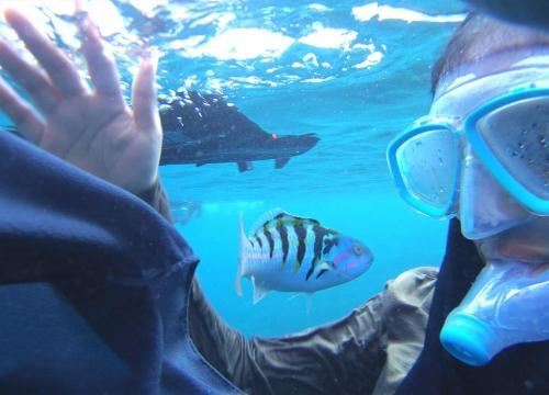 Hostal Equa Reef Maldives