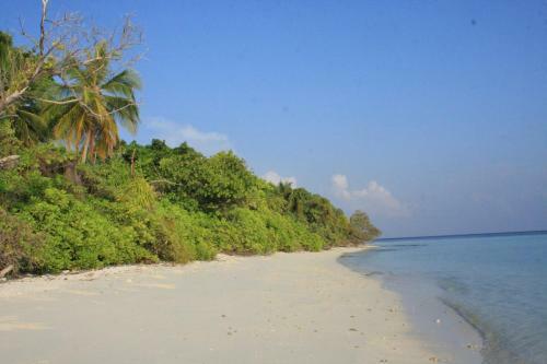 Hostal Equa Reef Maldives