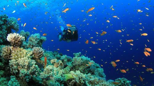 Hostal Equa Reef Maldives