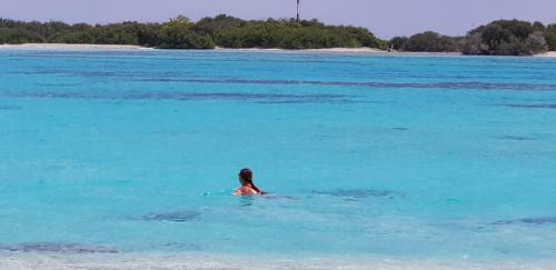 Hostal Equa Reef Maldives
