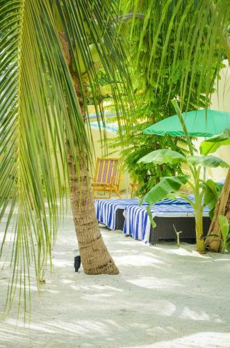 Hostal Whale Shark Inn