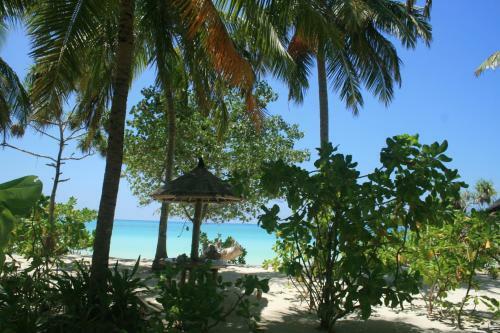 Divemakers Maldives Camp