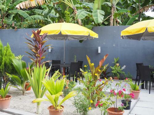 Hostal Equator Homestay