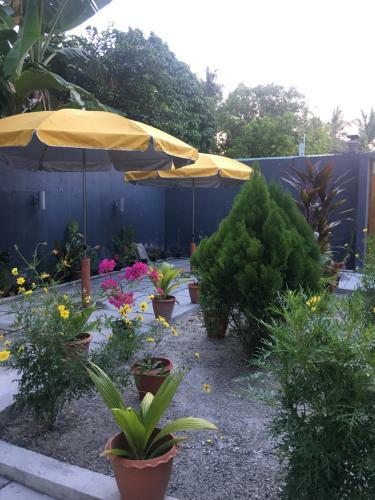 Hostal Equator Homestay