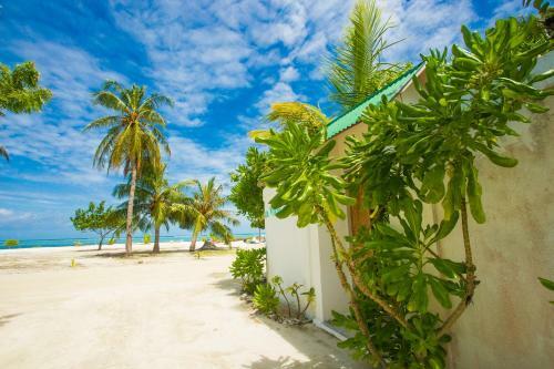 Hostal Faza View Inn