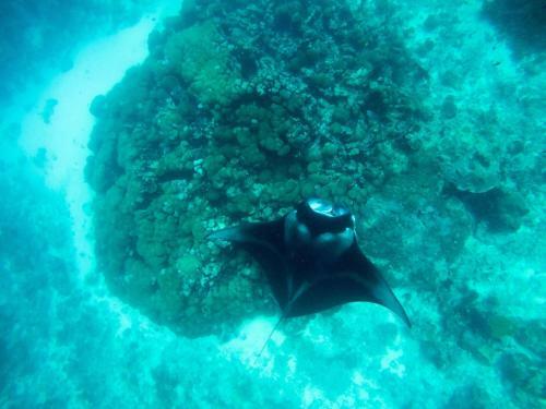 Hostal Noovilu Suites Maldives
