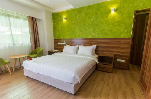 Hostal Olive Goidhoo