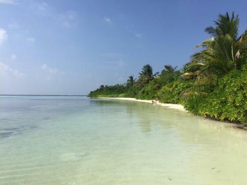 Hostal Olive Goidhoo